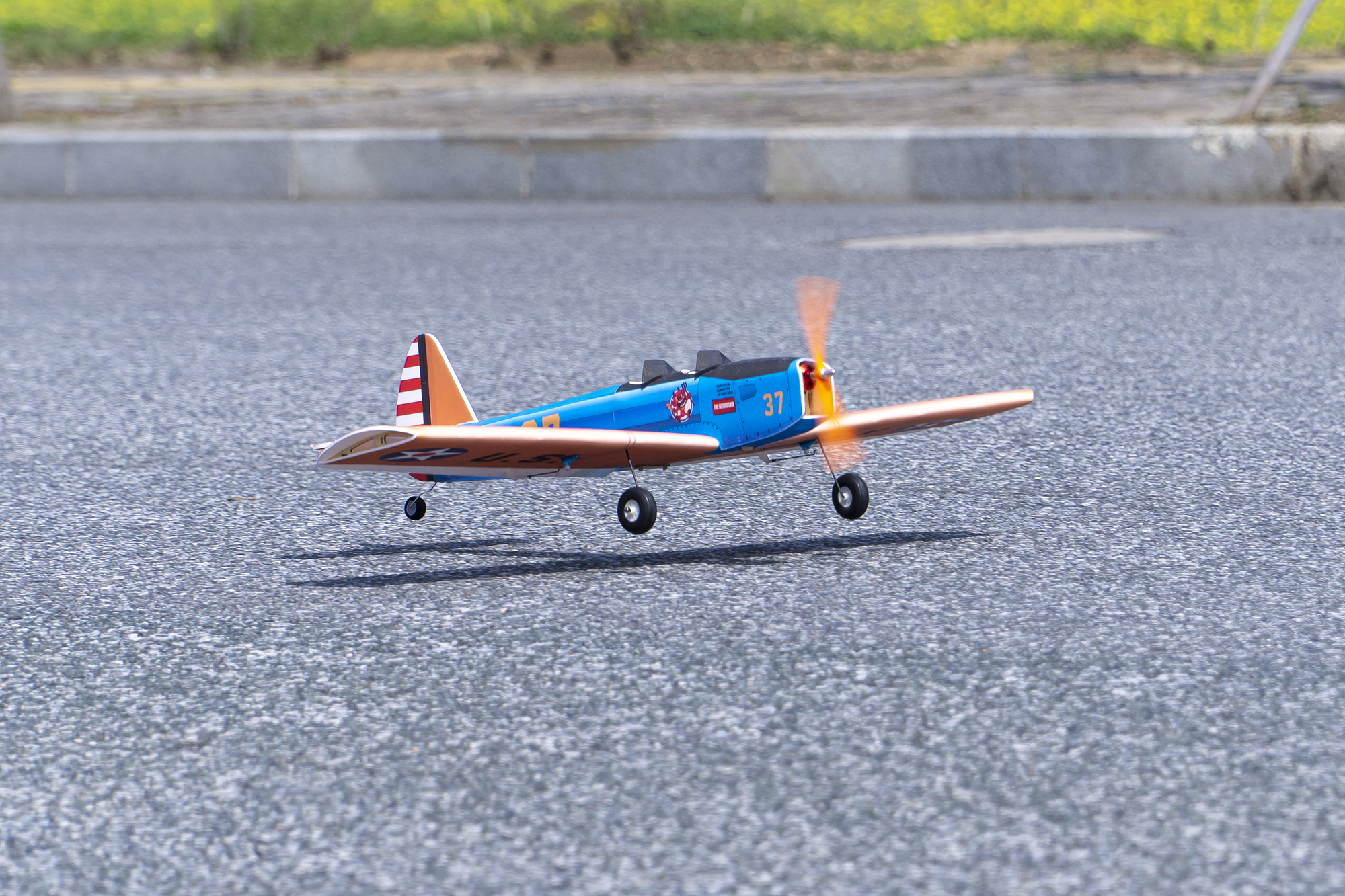 DW Hobby 900mm Wingspan PT-19  - Rc Hobby Online recensione e prezzo