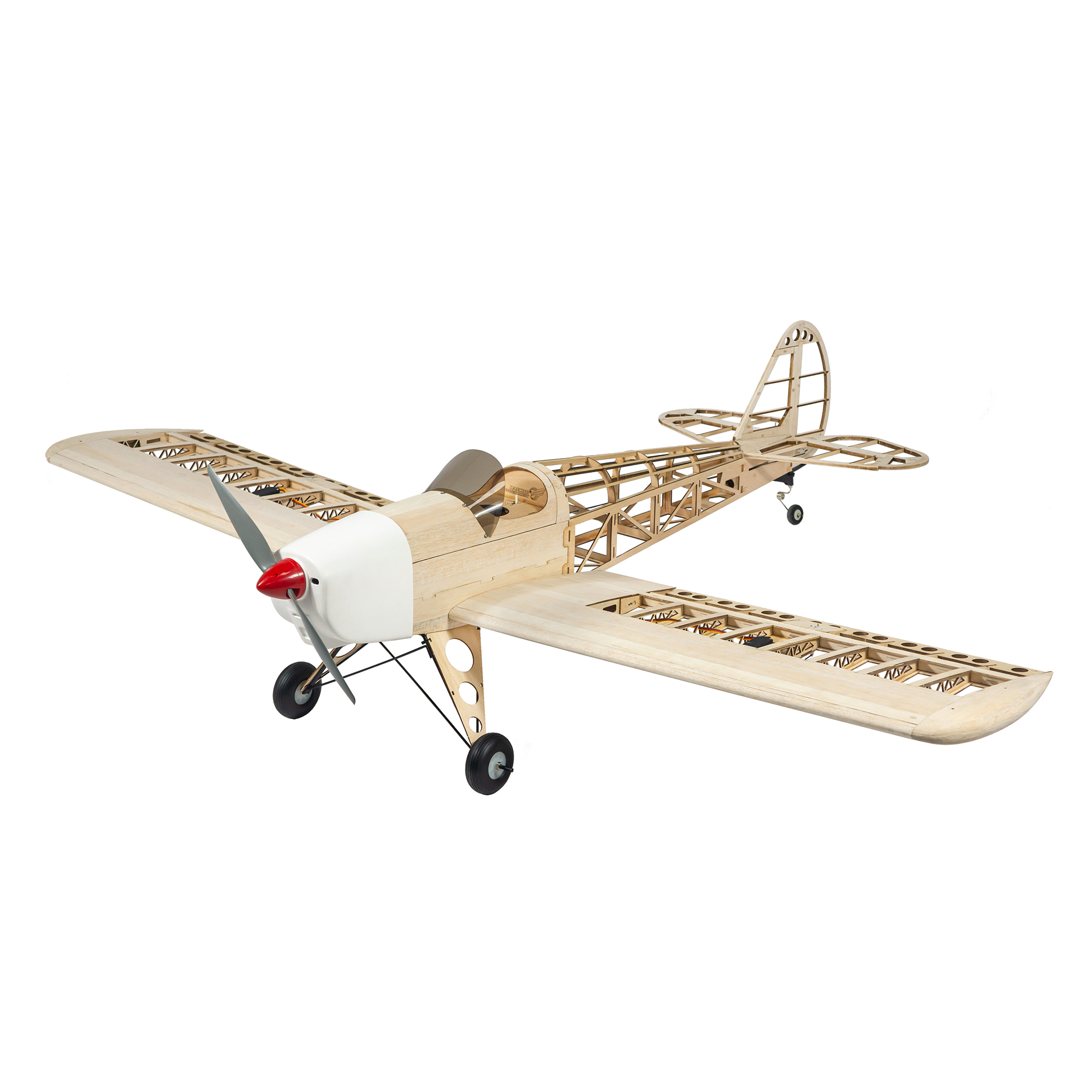Dancing Wings Hobby 1.6M (63in - Rc Hobby Online recensione e prezzo