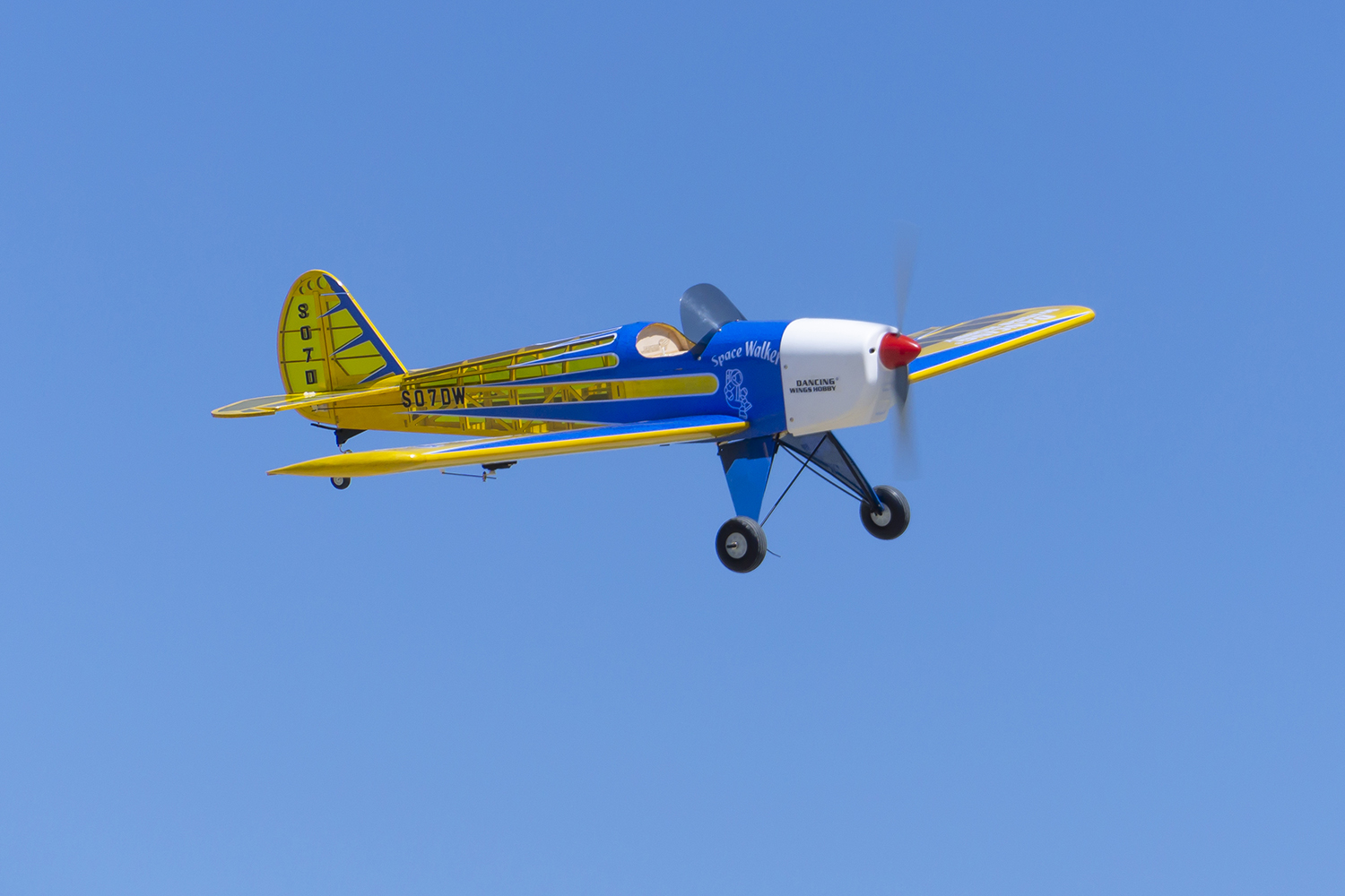 Dancing Wings Hobby 1.6M (63in - Rc Hobby Online recensione e prezzo